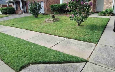 Photo of Annie A.'s yard after getting lawn care in Duncanville, TX