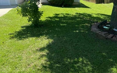 Photo of Christina M.'s yard after getting lawn care in Teaneck, NJ