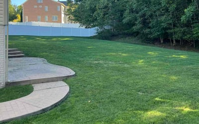 Photo of Monica L.'s yard after getting lawn care in Reston, VA