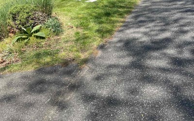 Photo of Marchetta L.'s yard after getting lawn care in Commack, NY