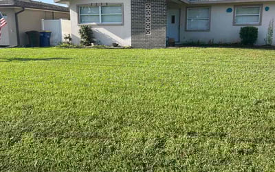 Photo of Nelia M.'s yard after getting lawn care in Lehi, UT
