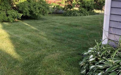 Photo of Amy G.'s yard after getting lawn care in Rockaway, NJ