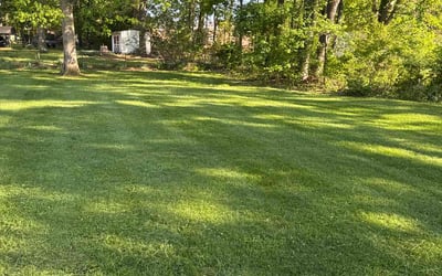Photo of Maribel A.'s yard after getting lawn care in Greenbelt, MD