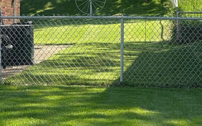Photo of Erin R.'s yard after getting lawn care in Rock Island, IL