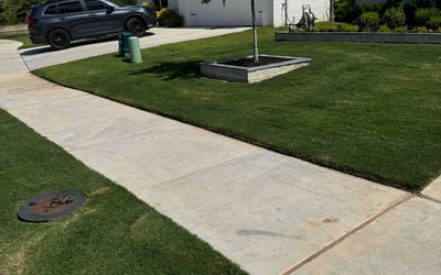 Photo of Kimberley T.'s yard after getting lawn care in Sun City Center, FL