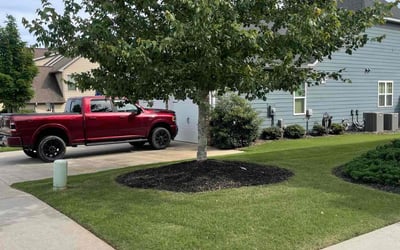 Photo of Lauren M.'s yard after getting lawn care in Bristow, VA