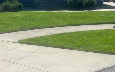 Photo of Delores G.'s yard after getting lawn care in Seville, OH