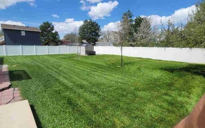 Photo of John C.'s yard after getting lawn care in Riverton, UT