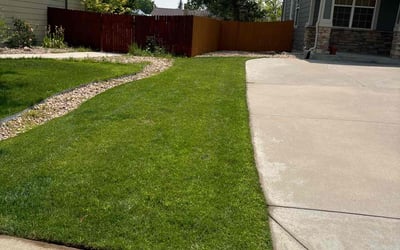 Photo of Frank O.'s yard after getting lawn care in Thornton, CO