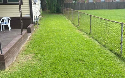 Photo of Jody P.'s yard after getting lawn care in Plaquemine, LA
