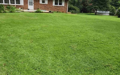 Photo of Lydia C.'s yard after getting lawn care in Greensboro, NC