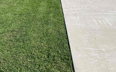 Photo of Stephen R.'s yard after getting lawn care in Beaumont, TX