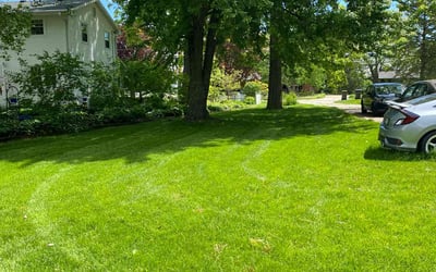 Photo of Marie R.'s yard after getting lawn care in Owens Cross Roads, AL