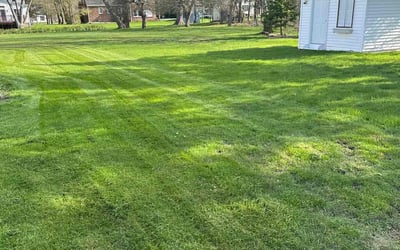 Photo of Marie W.'s yard after getting lawn care in Depew, NY