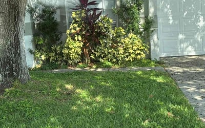 Photo of Angel B.'s yard after getting lawn care in Alafaya, FL