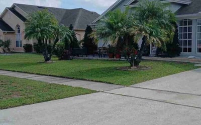 Photo of Humberto R.'s yard after getting lawn care in Kissimmee, FL
