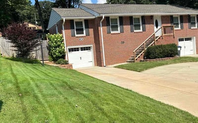 Photo of Vicki B.'s yard after getting lawn care in Oak Cliff, TX