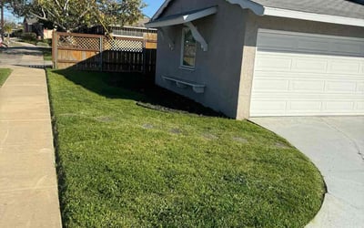 Photo of Mija S.'s yard after getting lawn care in Fallbrook, CA