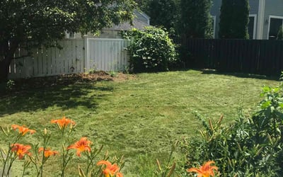 Photo of Donna C.'s yard after getting lawn care in Belmont, MA