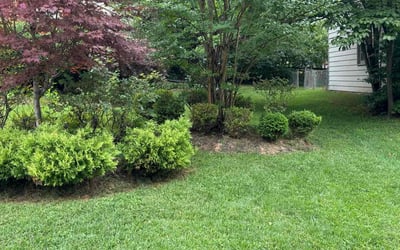 Photo of Susan B.'s yard after getting lawn care in Oakton, VA