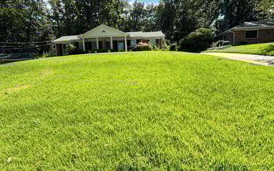 Photo of Krysten A.'s yard after getting lawn care in Warminster, PA