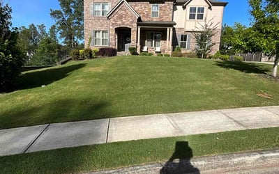 Photo of Leena G.'s yard after getting lawn care in Auburn, GA