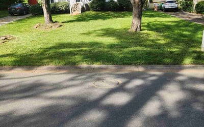 Photo of Christina B.'s yard after getting lawn care in Newton, NC