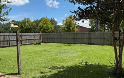 Photo of Monilola J.'s yard after getting lawn care in Angleton, TX