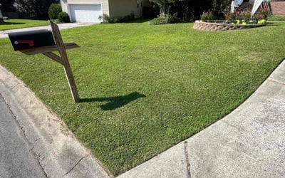Photo of Nina P.'s yard after getting lawn care in Hamden, CT