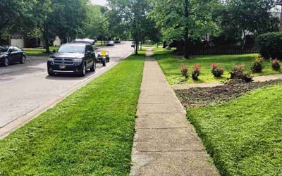 Photo of Samuel G.'s yard after getting lawn care in Lexington, KY