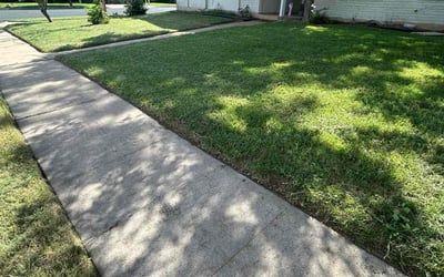 Photo of Kelsey W.'s yard after getting lawn care in Largo, FL