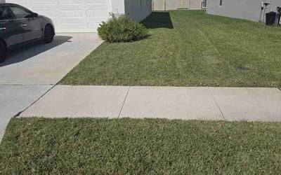 Photo of Rena D.'s yard after getting lawn care in High Point, NC