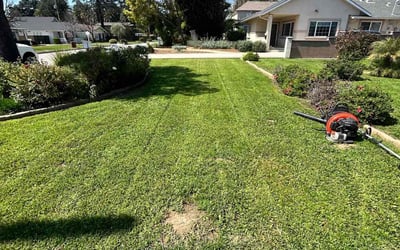 Photo of Zuko M.'s yard after getting lawn care in Hacienda Heights, CA