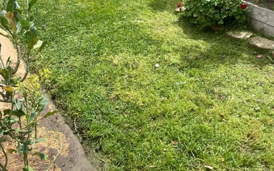 Photo of Vickie T.'s yard after getting lawn care in Perris, CA