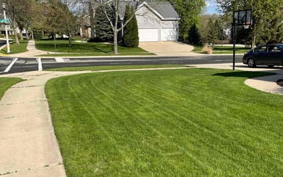 Photo of Dan O.'s yard after getting lawn care in Stoughton, WI