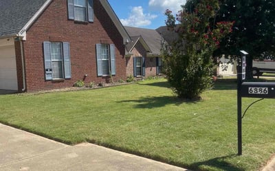 Photo of Matthew C.'s yard after getting lawn care in Lakewood, CA