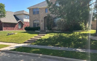 Photo of Valicia C.'s yard after getting lawn care in Cibolo, TX