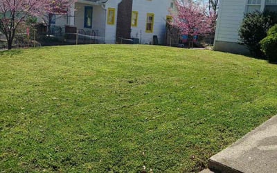 Photo of Melissa M.'s yard after getting lawn care in White Bluff, TN