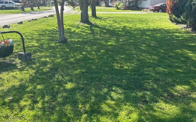 Photo of Justin B.'s yard after getting lawn care in Sardinia, OH