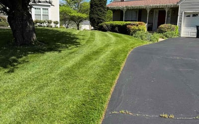 Photo of Amy B.'s yard after getting lawn care in Mays Landing, NJ