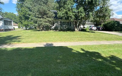 Photo of David J.'s yard after getting lawn care in Wyandotte, MI