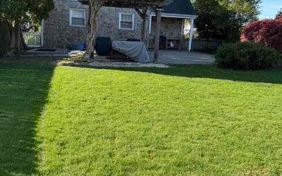 Photo of Dale R.'s yard after getting lawn care in Allentown, PA