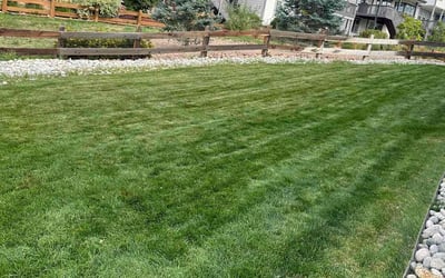 Photo of Emily D.'s yard after getting lawn care in Parker, CO