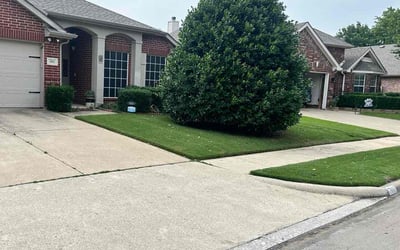 Photo of Roberta R.'s yard after getting lawn care in Sachse, TX