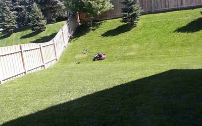 Photo of Ethan H.'s yard after getting lawn care in Zion, IL