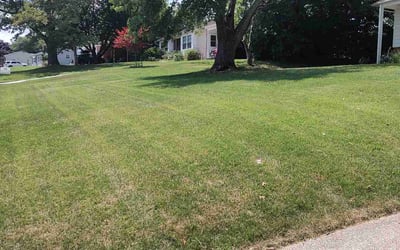 Photo of Melissa S.'s yard after getting lawn care in Bel Air, MD
