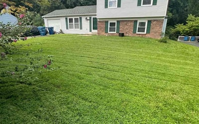 Photo of Jaci C.'s yard after getting lawn care in Springfield, VA