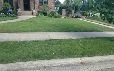 Photo of Karen K.'s yard after getting lawn care in Princeton, MN