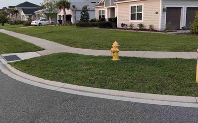 Photo of Michael M.'s yard after getting lawn care in Ladson, SC