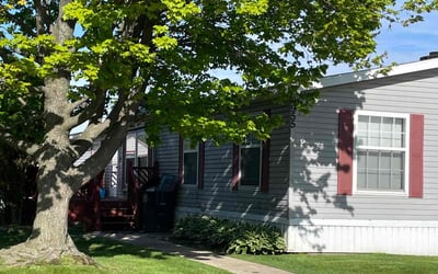 Photo of Martha C.'s yard after getting lawn care in Romulus, MI
